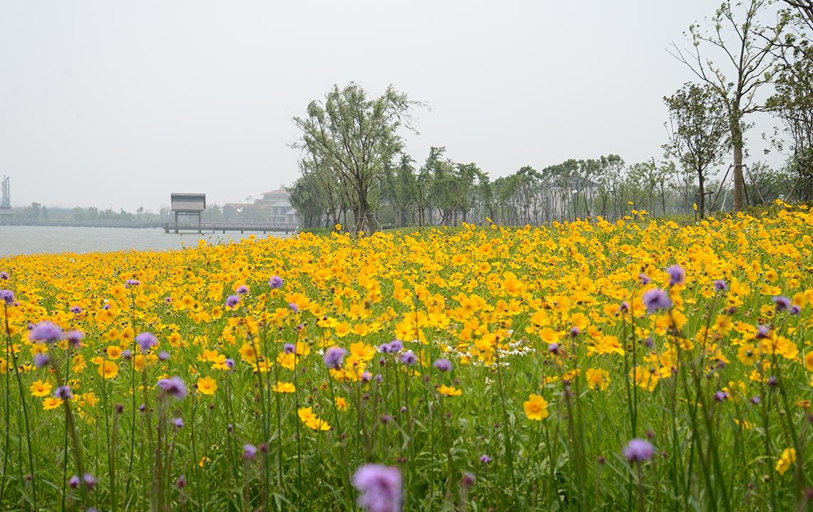 踏青團建 | 我們一起放肆一起嗨,讓春天更精彩